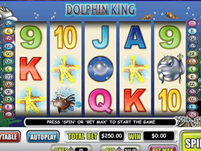slot Dolphin King