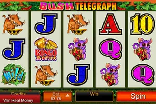 tragaperras Bush Telegraph