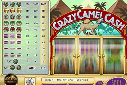 Crazy Camel Cash tragamonedas