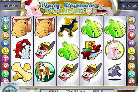 Dog Pound tragamonedas