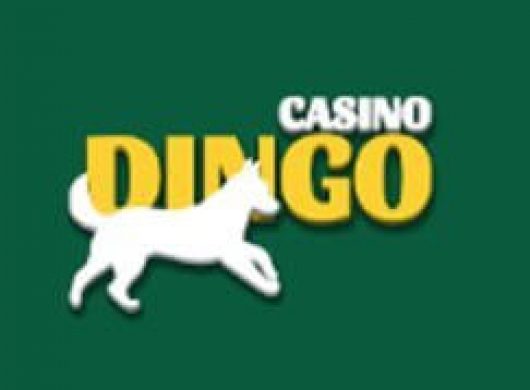 Casino Dingo