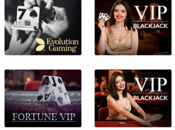 Casino en vivo Dingo