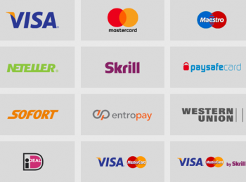 Métodos de pago Dingo